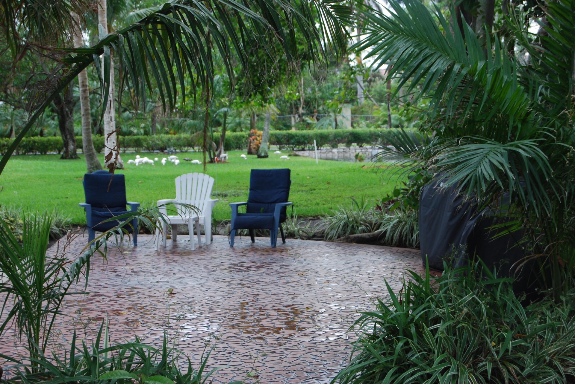 2424 N Federal Highway, Unit 309, Boynton Beach, FL 33435 Photo