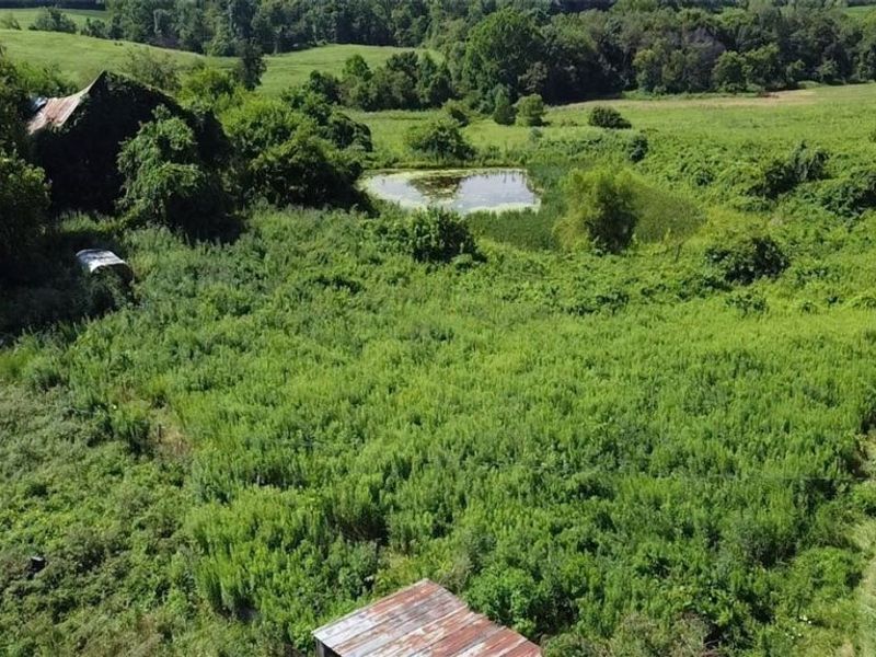 471 Tullis Road, Cutler, OH 45711 Photo 19
