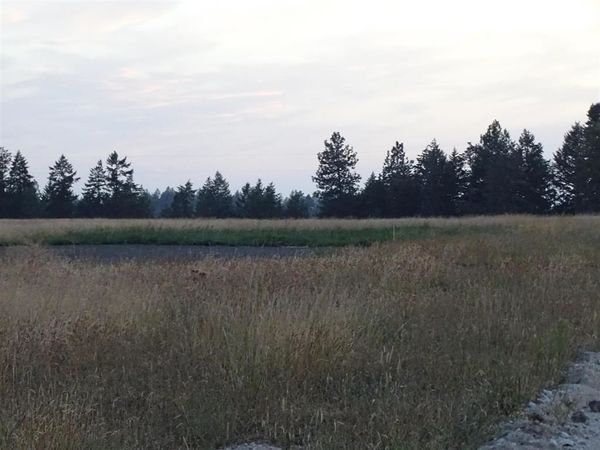 Orchard Rd, Chattaroy, WA 99003
