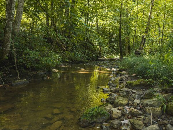0000 Snake Hollow (162.33 acres) Road, Sneedville, TN 37869