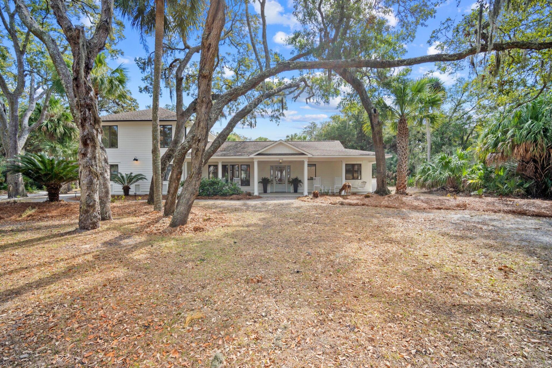 290 Tarpon Boulevard Photo 7