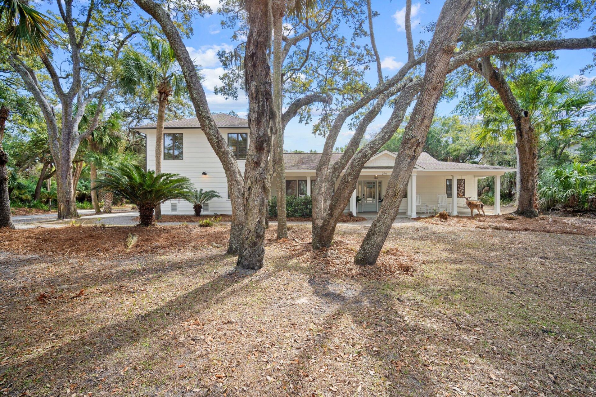 290 Tarpon Boulevard Photo 8