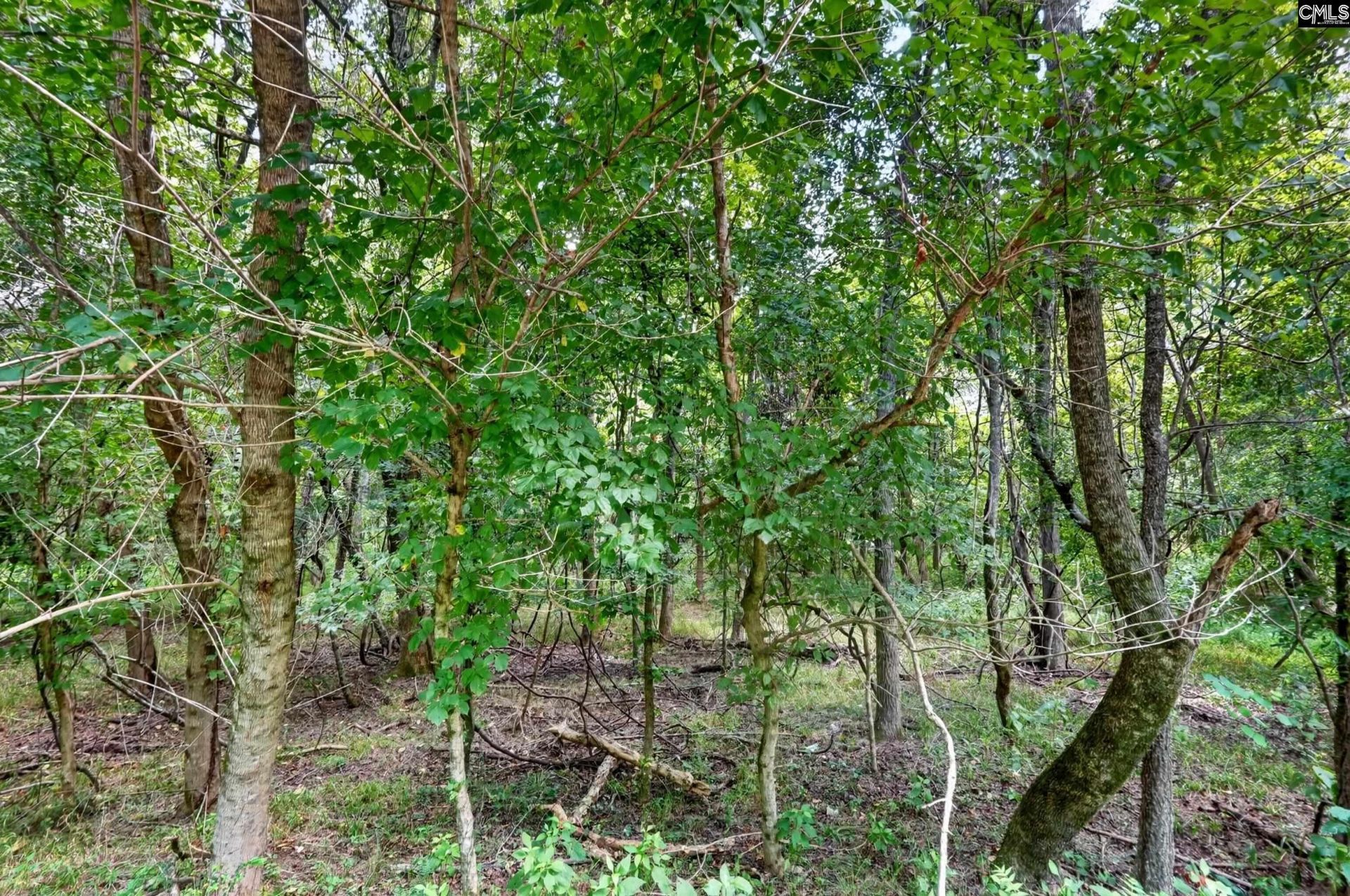 3116 Pilgrim Road  Photo 65