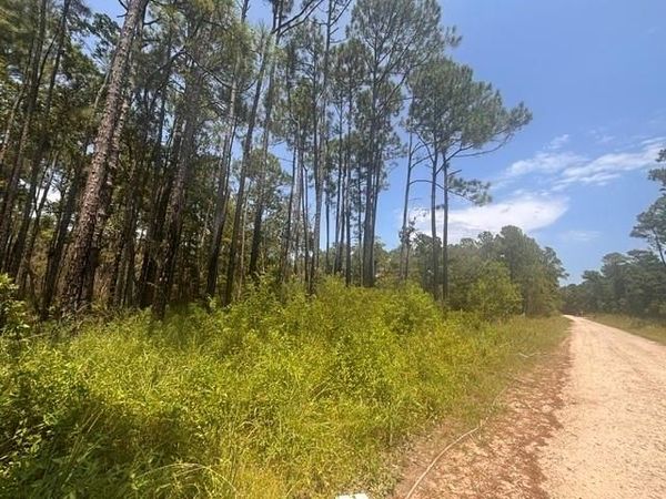 0 Dakota Drive , Coden, AL 36523
