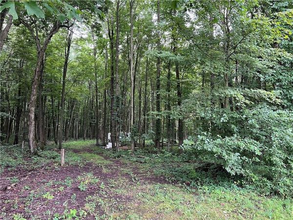 6124 Root Road , Conneaut, OH 44030