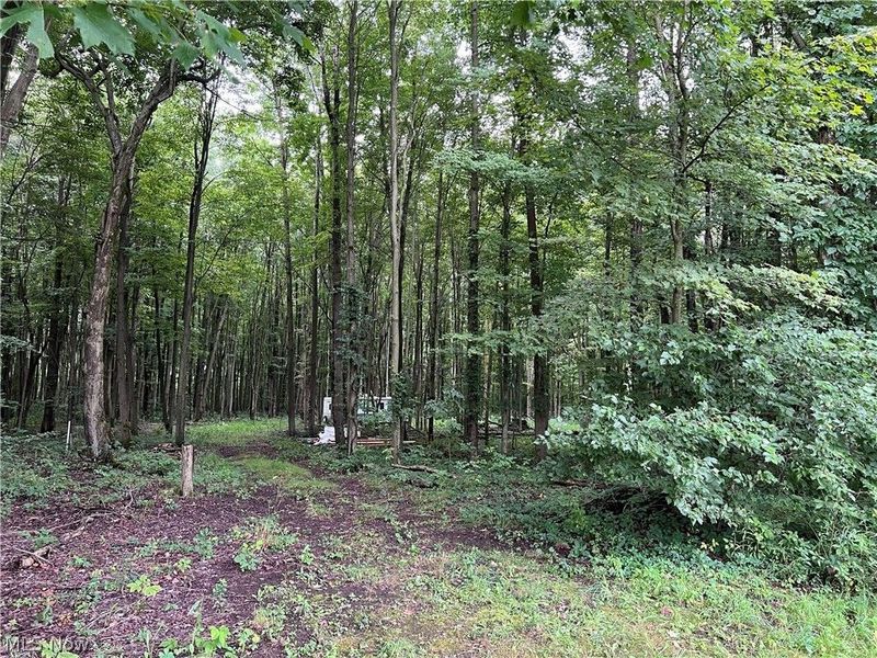 6124 Root Road, Conneaut, OH 44030 Photo 1