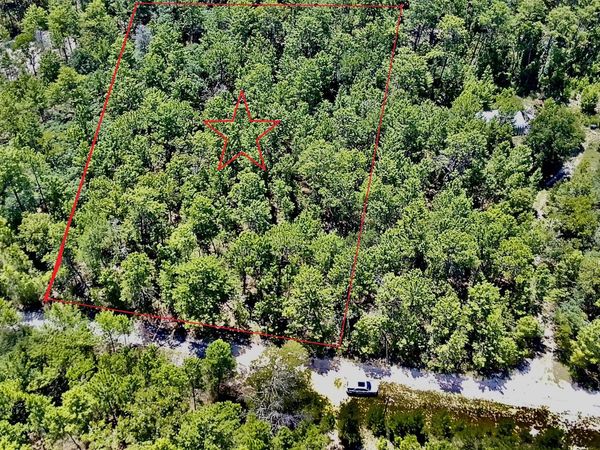 121 Pear Street, Welaka, FL 32193