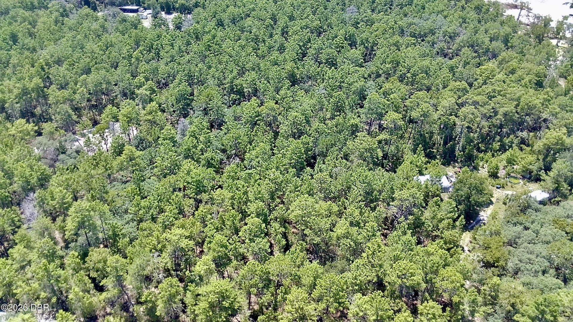 121 Pear Street, Welaka, FL 32193 Photo
