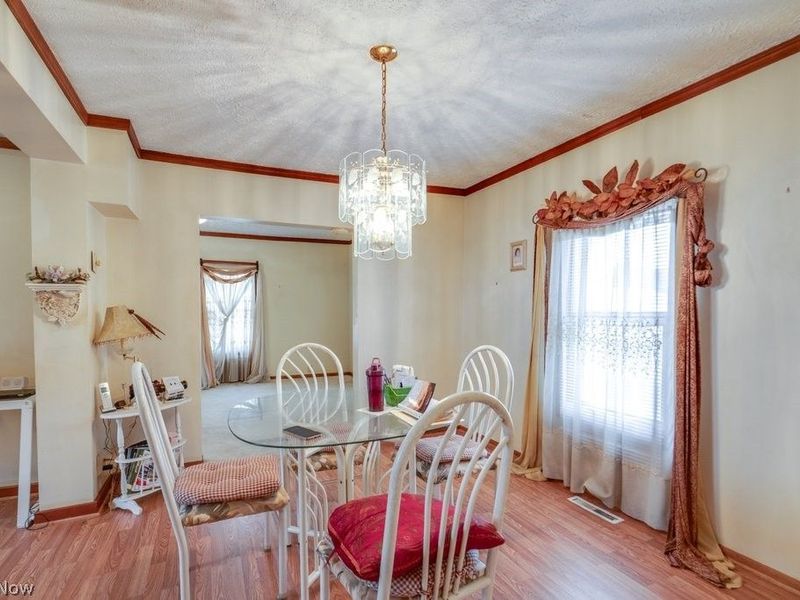 219 Scranton Avenue, Minerva, OH 44657 Photo 20