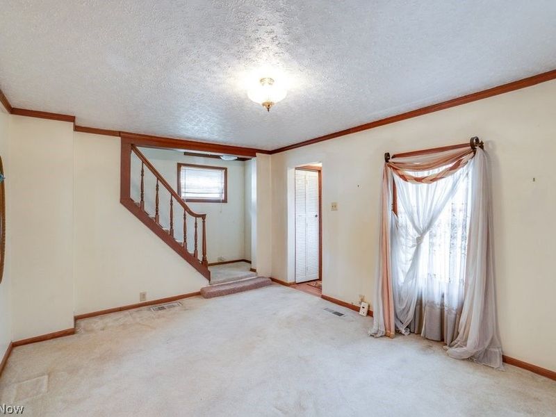 219 Scranton Avenue, Minerva, OH 44657 Photo 23