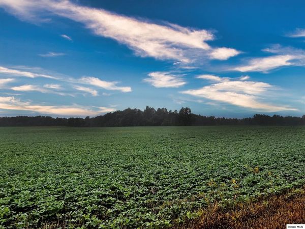 75.986 Acres TWP Road 114, Mount Gilead, OH 43338