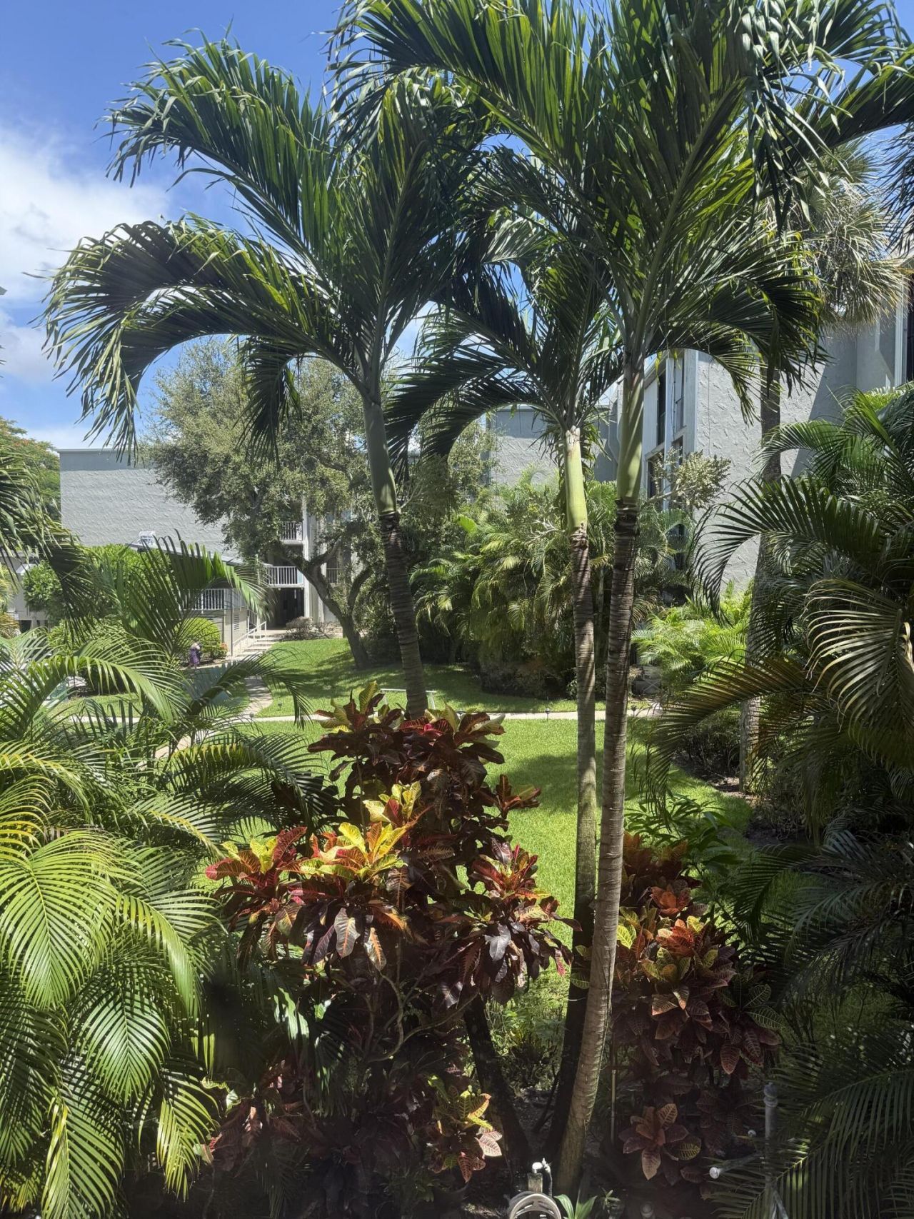 501 SW 11th Place, Unit 205A, Boca Raton, FL 33432 Photo