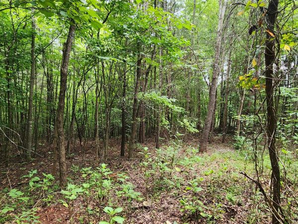 LOT 6 Brooks Mill RD , Glade Hill, VA 24092