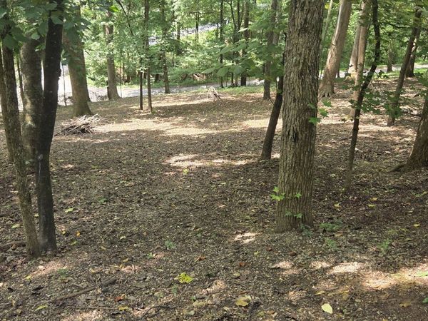 30 Floating Mill Village , Unit 30, Silver Point, TN 38582