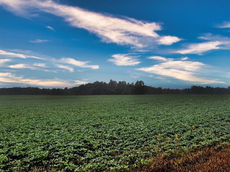 0 Township Road 114 , Mount Gilead, OH 43338 Photo 1