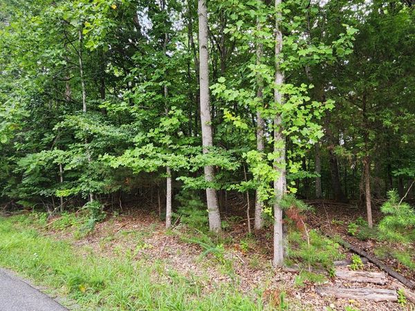 LOT 1 Truman Hill RD, Hardy, VA 24101