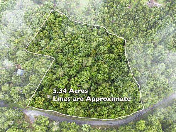 5.34 AC Hill Top Circle, Mccaysville, GA 30555