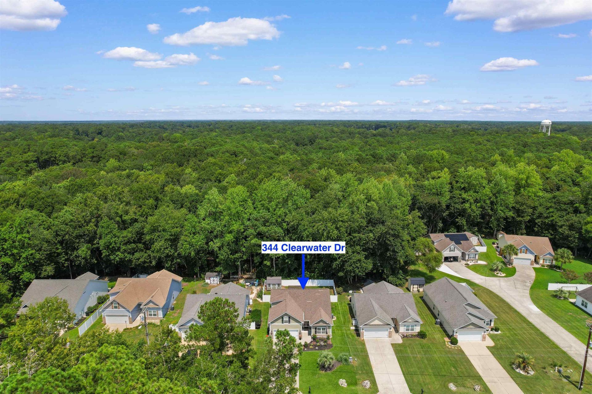 344 Clearwater Dr. Photo 41