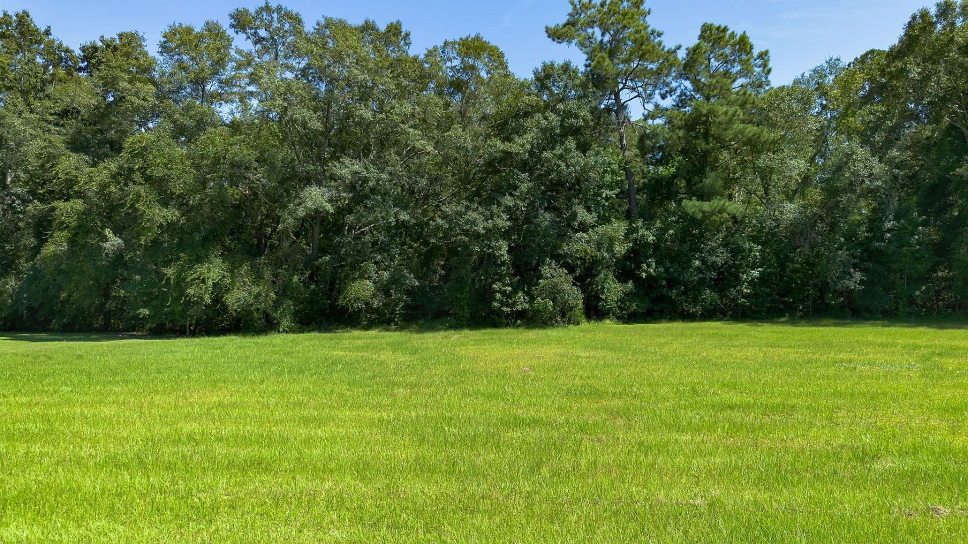 Xxx Quail Roost Drive , Quincy, FL 32352 Photo