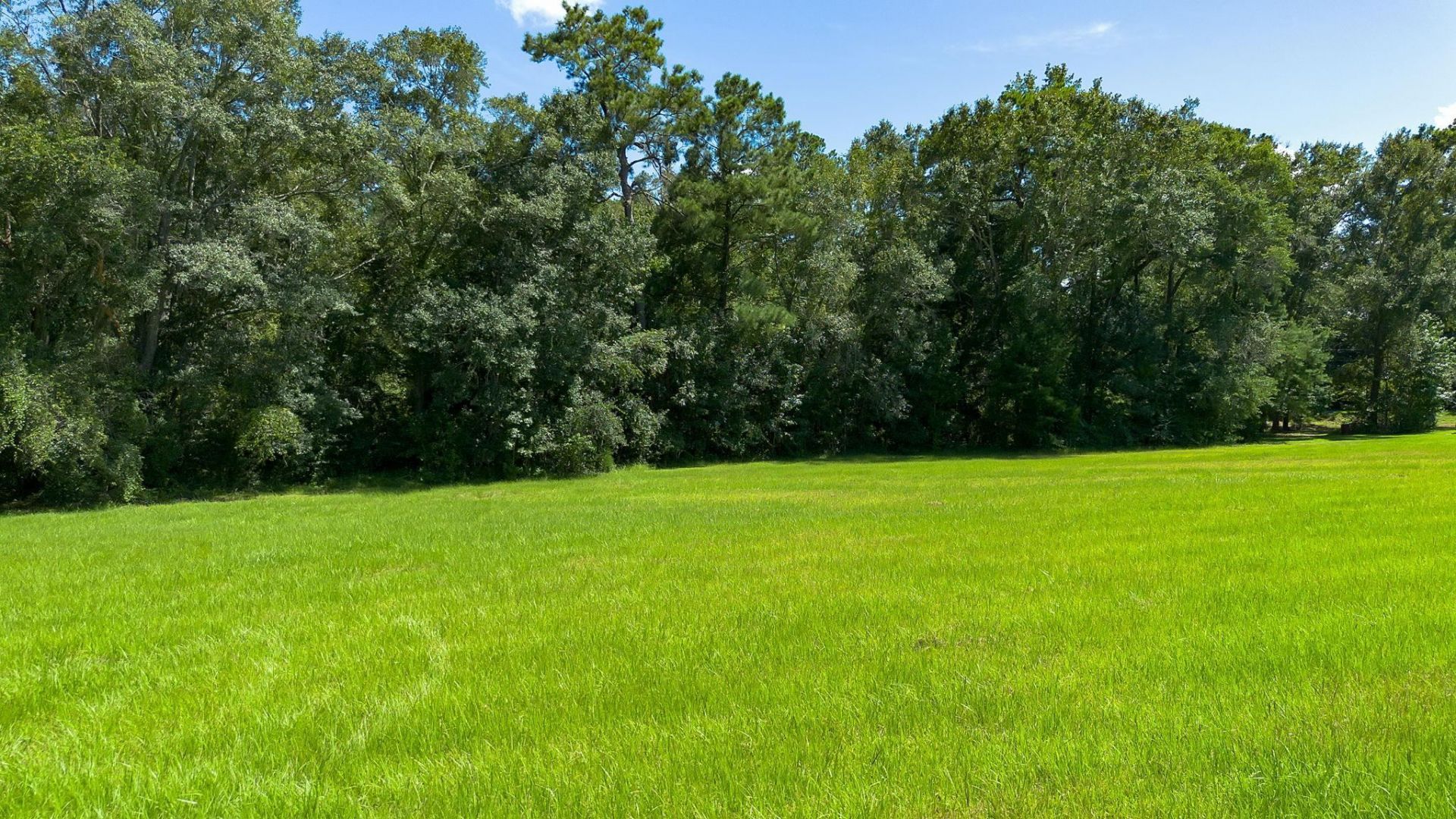Xxx Quail Roost Drive , Quincy, FL 32352 Photo