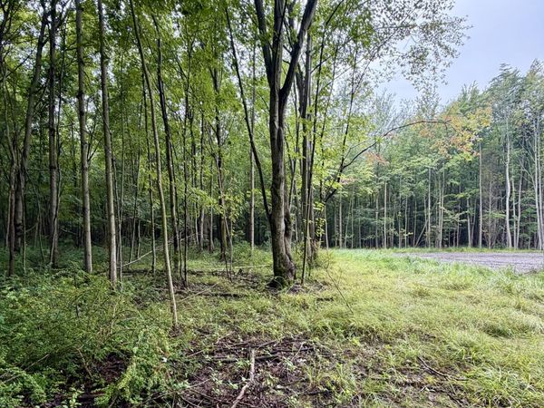 Lot 6 Christopher Lane, South Haven, MI 49090