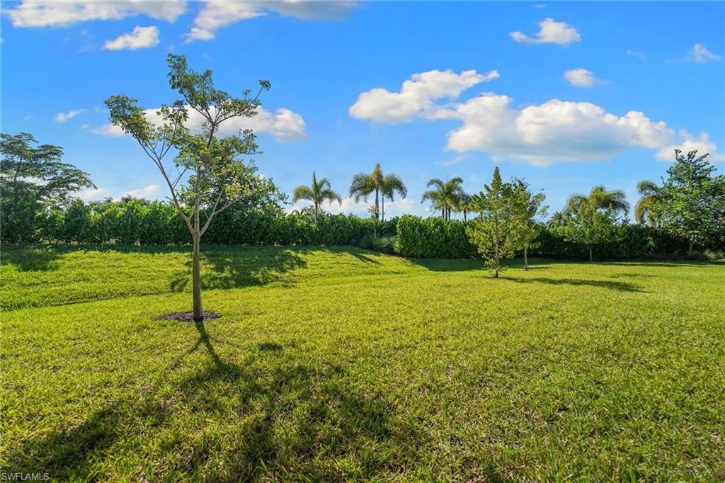 12445 Dahlia Ct, Naples, FL 34120 Photo