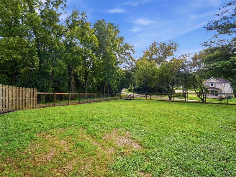 6184 Hillside Avenue, Cincinnati, OH 45233 Photo 54
