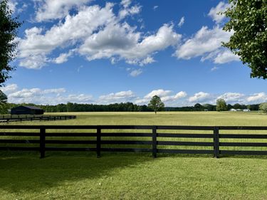 60 Acres Flatwoods Road, Nancy, KY 42544
