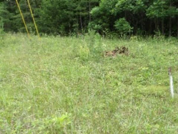 Lot 48 Parkstown Ext. Rd, Wilder, TN 38589
