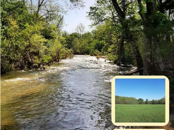 1535 W Elderberry Lane, Brighton, MO 65617