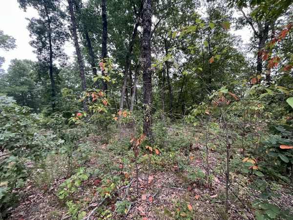 000 Partridge Drive , Climax Springs, MO 65324
