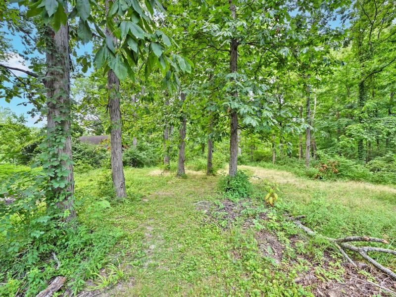232 Grandin Road, Hamilton Township, OH 45039 Photo 54
