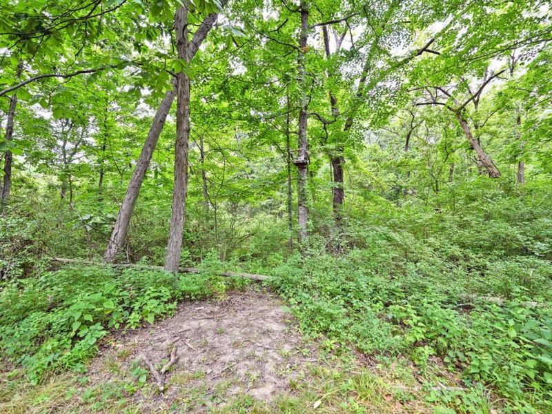 232 Grandin Road, Hamilton Township, OH 45039 Photo 56
