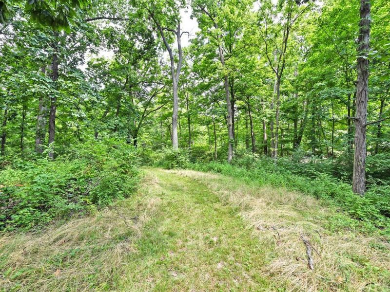 232 Grandin Road, Hamilton Township, OH 45039 Photo 58
