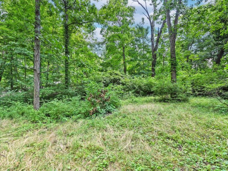 232 Grandin Road, Hamilton Township, OH 45039 Photo 59