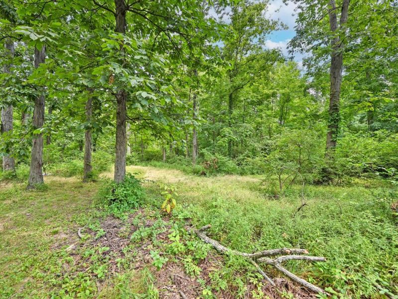 232 Grandin Road, Hamilton Township, OH 45039 Photo 60