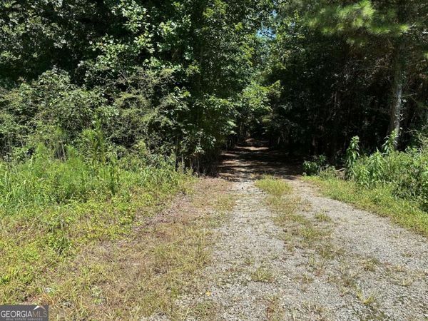 305 Wildcat Road, Buchanan, GA 30113