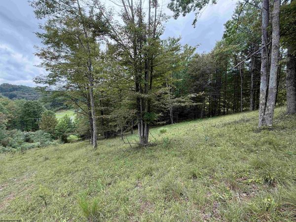 000 Doe Lane, Buckhannon, WV 26201