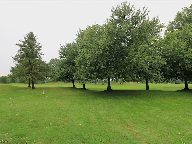 191 Briarcrest Drive, Norwalk, OH 44857 Photo 30