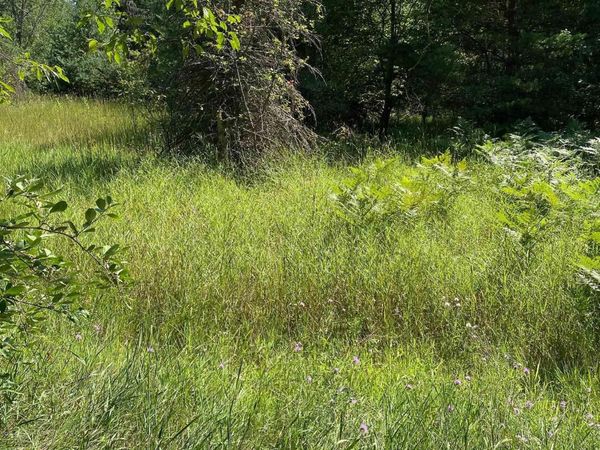 6274 Friendship Lane SW, Fife Lake, MI 49633