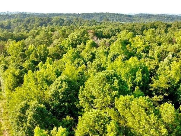 6282 Dawsonville Highway , Dawsonville, GA 30534