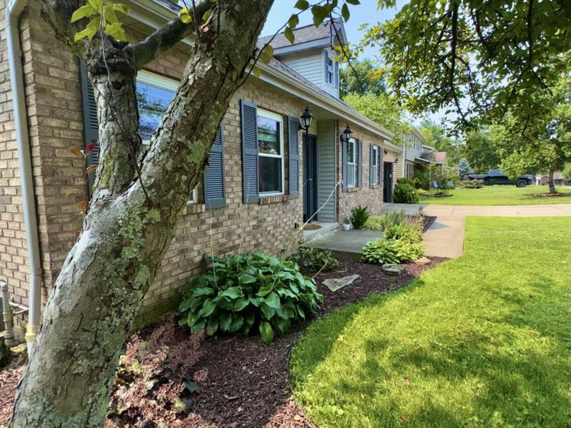 156 Burgess Lane, Florence, KY 41042 Photo 39