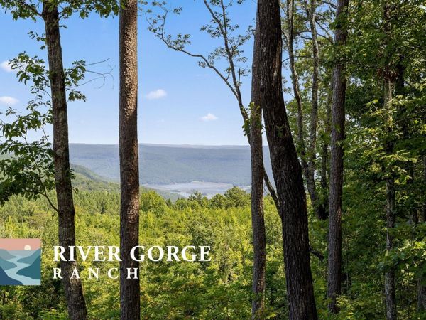 1220 Crows Nest Drive, Guild, TN 37340