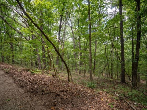 Bedlington Lane, Bella Vista, AR 72714