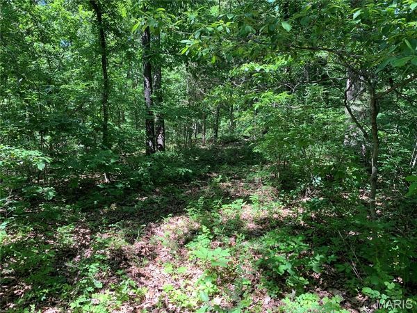 0 PCR 842, St Mary, MO 63673