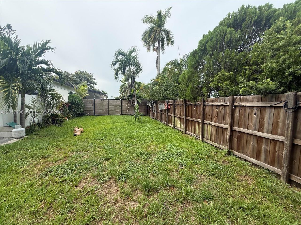 701 SW 4th Ct, Hallandale Beach, FL 33009 Photo