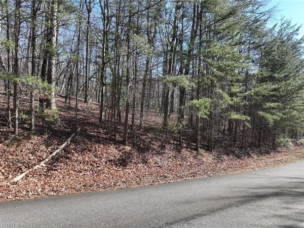 58 Saint Andrews Way, Ellijay, GA 30536