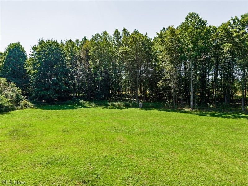 9220 Pritchard Road, Garrettsville, OH 44231 Photo 49