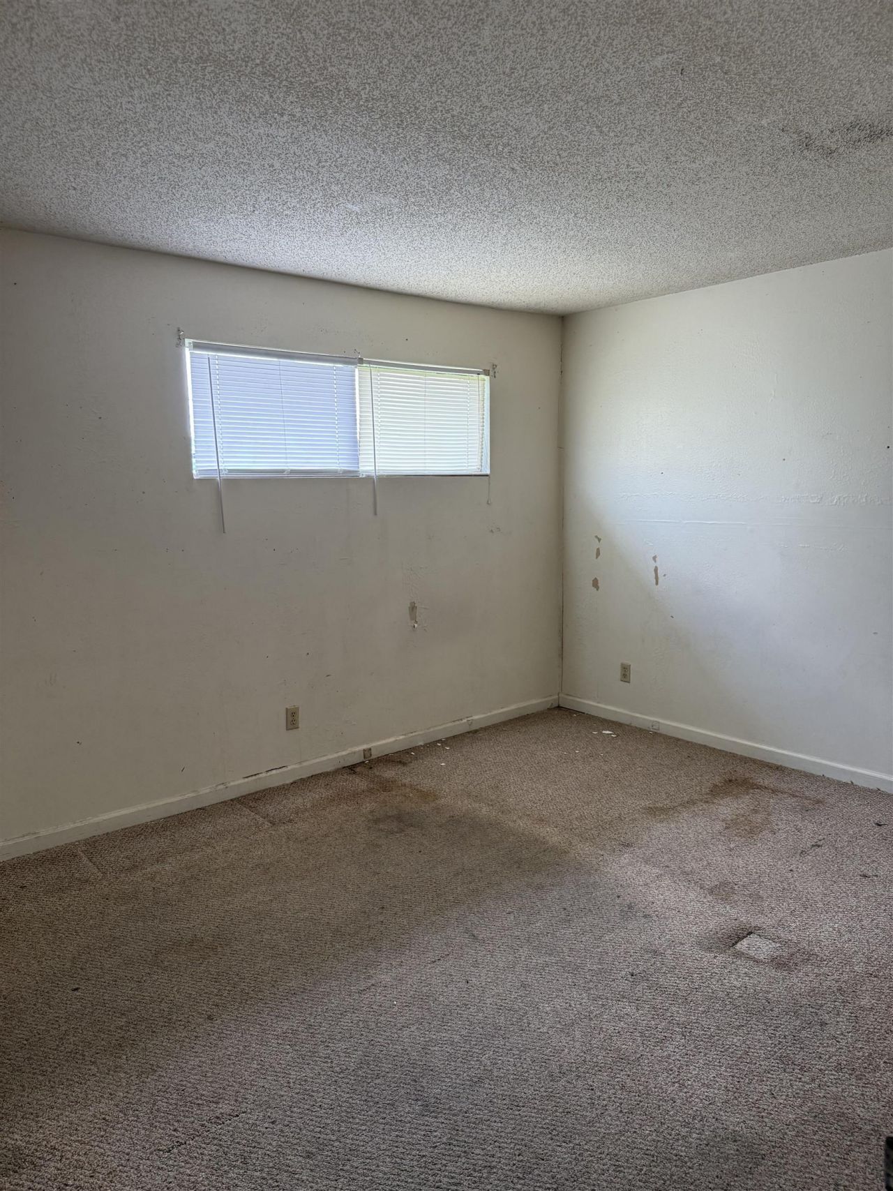 2000 Greens Blvd. Photo 14