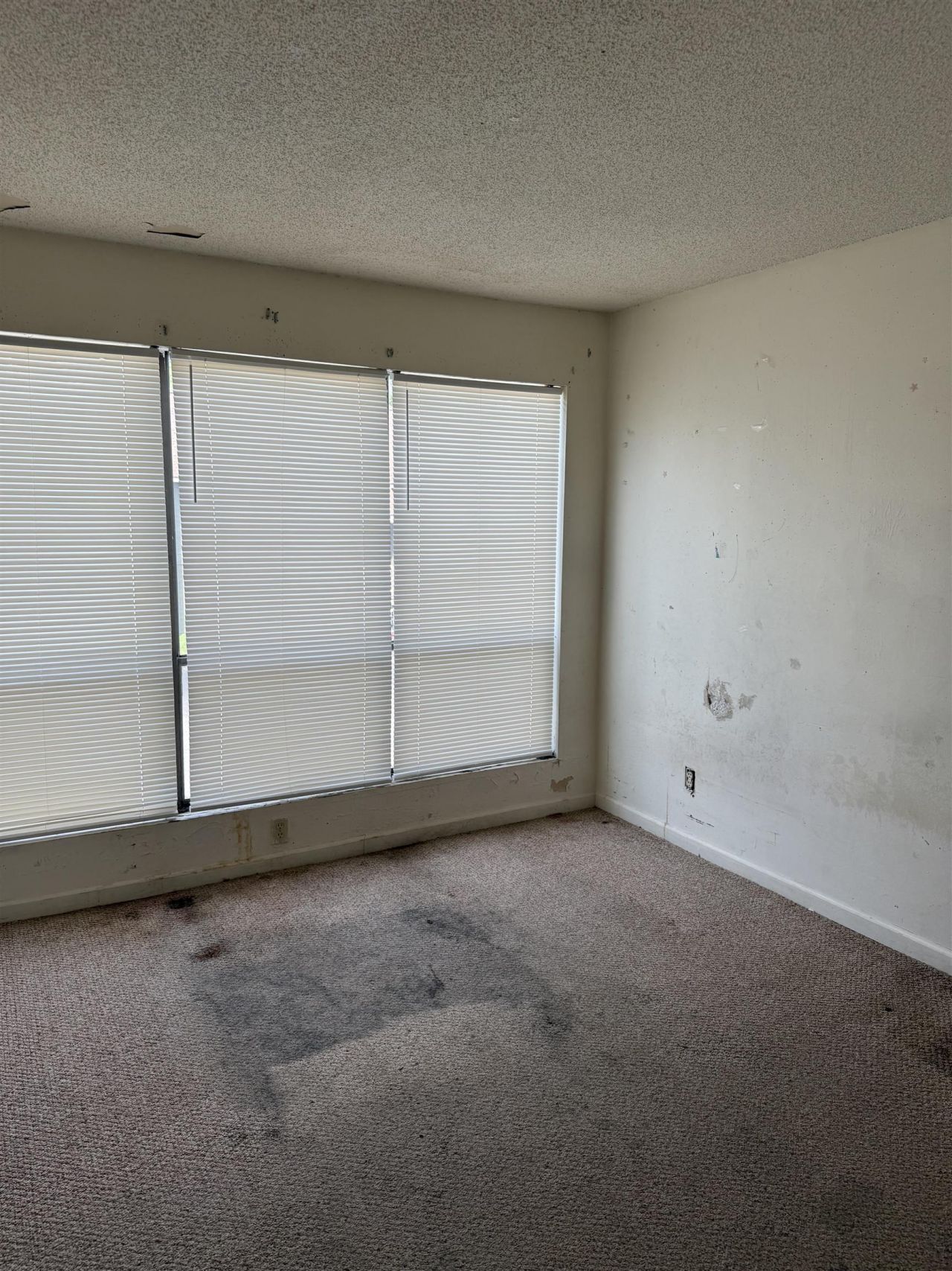 2000 Greens Blvd. Photo 18